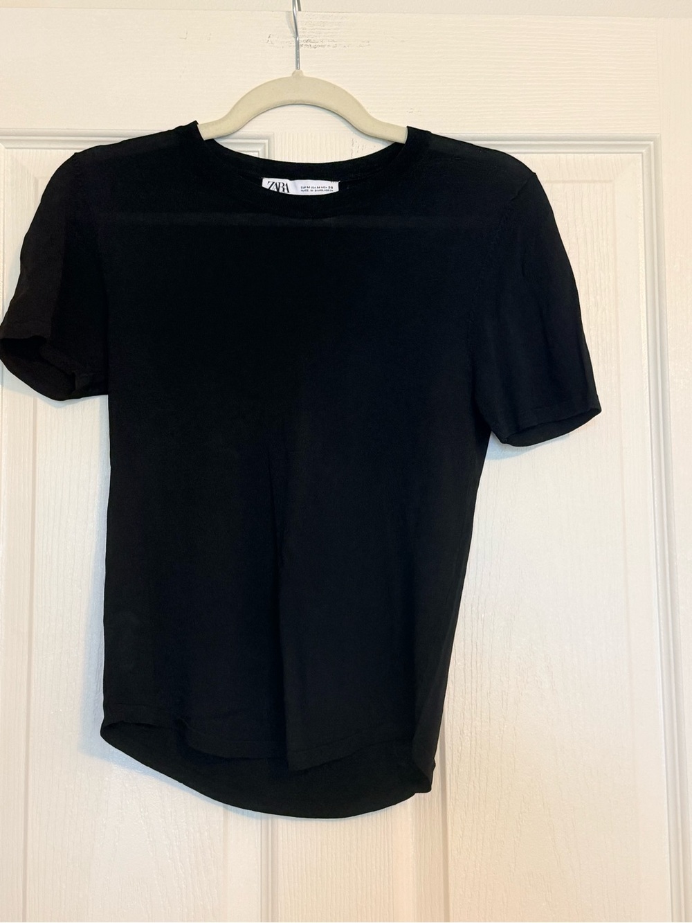 Zara See Through Black Short Sleeve Tee